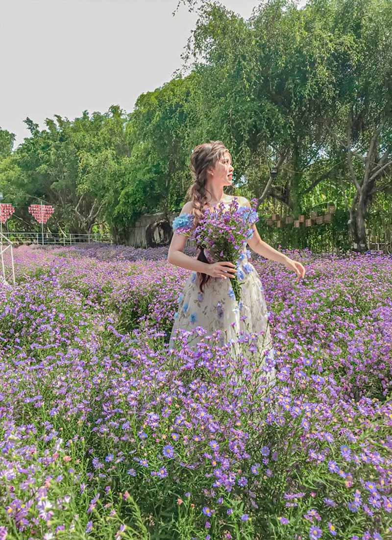 Mơ thấy mình đi lạc vào vườn hoa