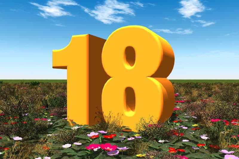 Số 18 thuộc ngũ hành gì?