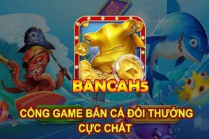 bancah5 2 1