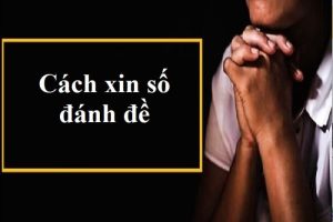 cach xin so danh de 1