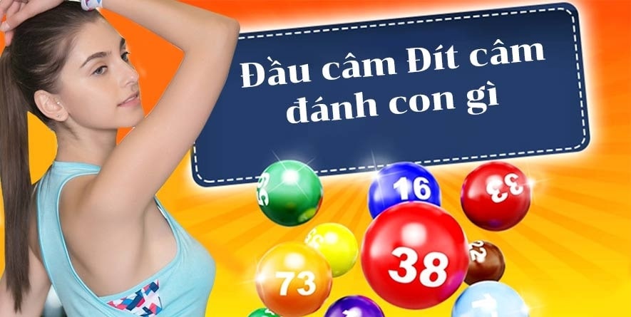 Dựa trên đầu và đuôi câm