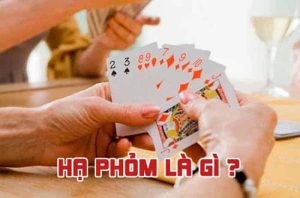 ha phom la gi 1 1