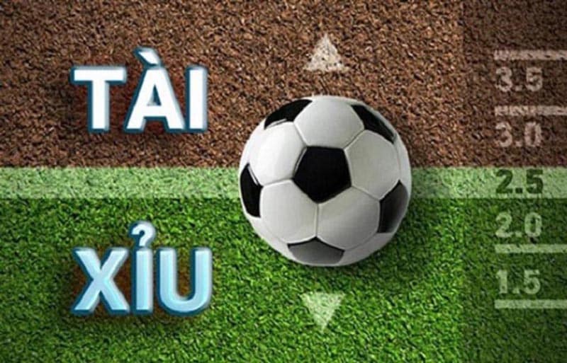 Kèo tài xỉu và tài xỉu 2 1/4 là như thế nào?