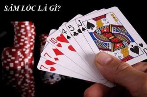 sam loc la gi 31 1 1